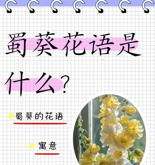 哪种花象征着坚持？坚持的花语是什么？