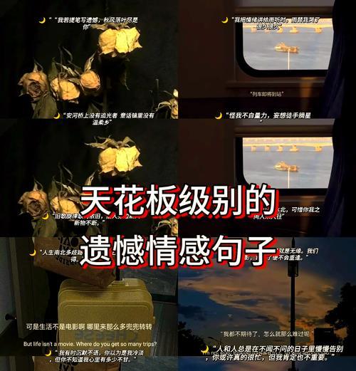 心碎释怀的花语有哪些？如何通过花语表达情感的转变？
