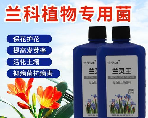 葡萄水对君子兰生长有何影响？