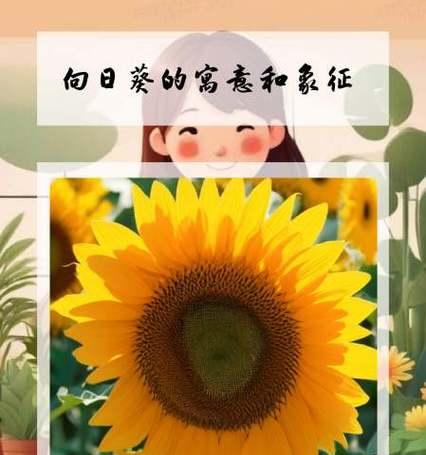 向日葵精神的花语是什么？向日葵如何象征积极向上的精神？