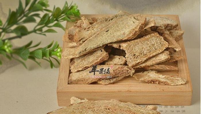 玫瑰花与木香有什么区别？各自的特性是什么？