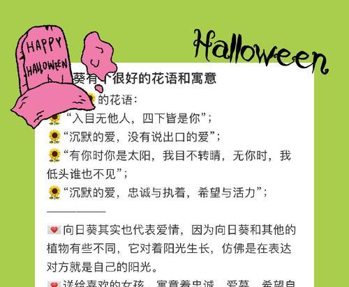 太阳花造型的花语含义是什么？它象征着什么？