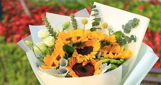 太阳花造型的花语含义是什么？它象征着什么？