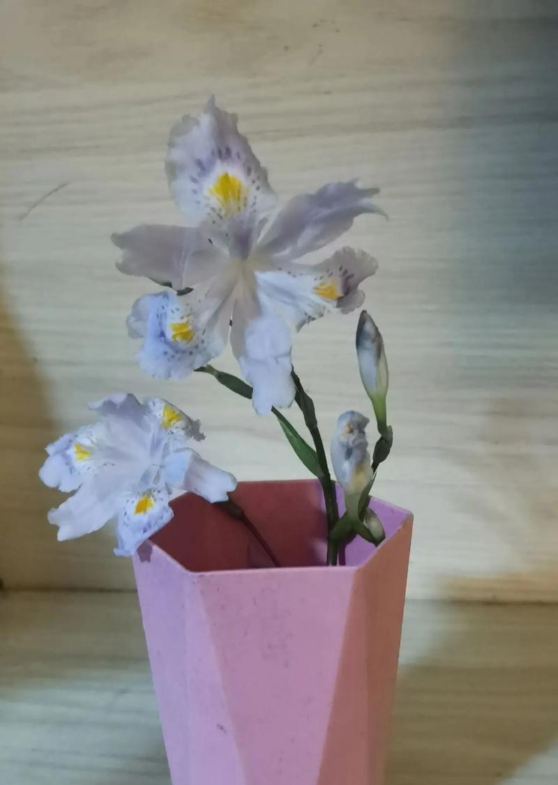 玫瑰花插花的正确步骤是什么？