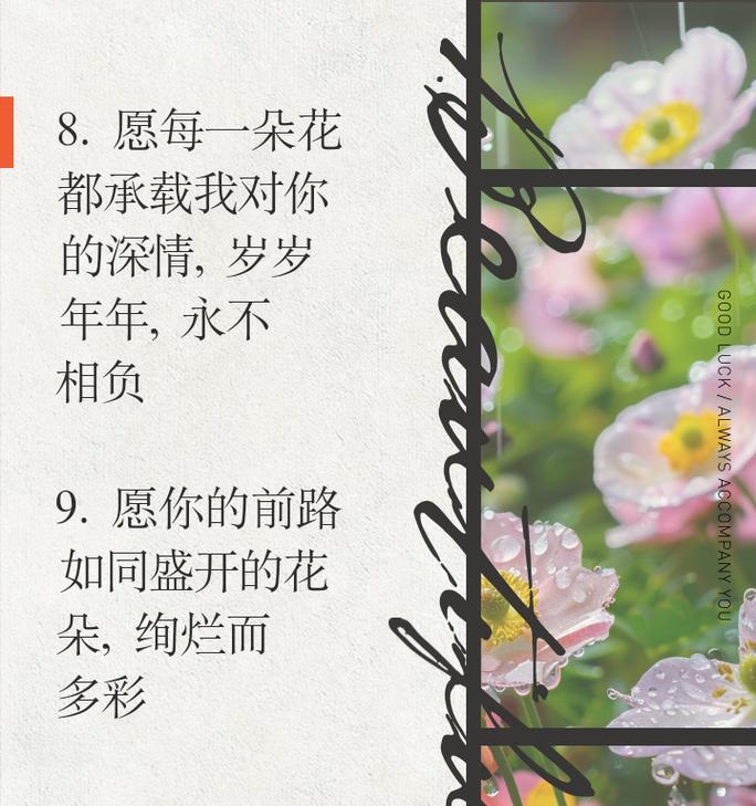 送室友的花花语是什么？选择合适的花卉传递友情？