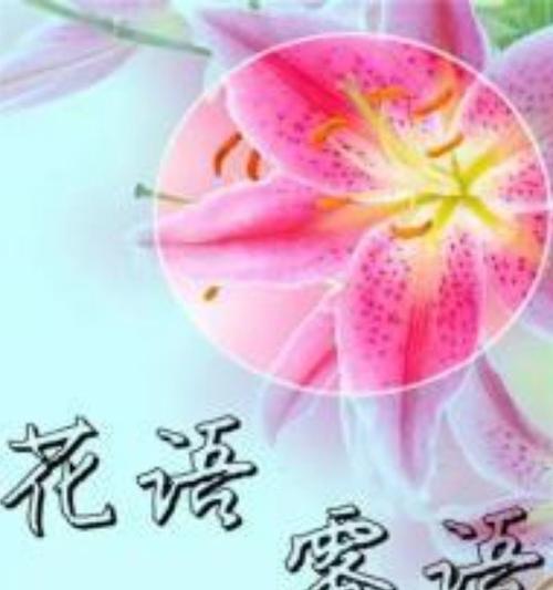 花语流连在网络用语中是什么意思？它如何被年轻人使用？