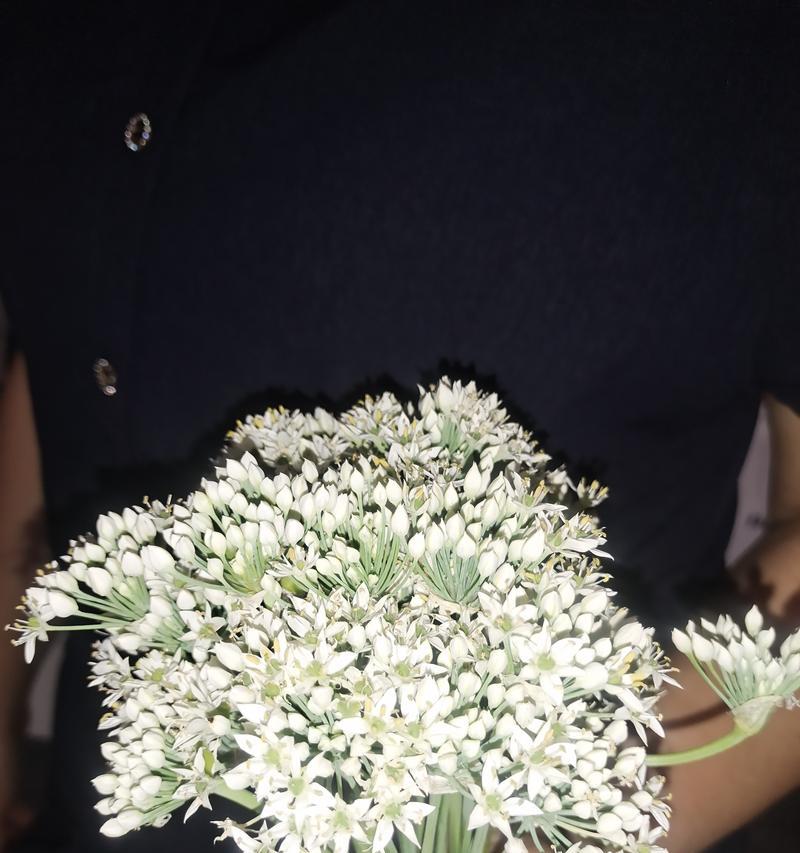 独自离开的花语是哪种花？哪种花象征着独自离开？
