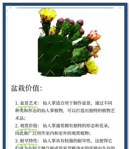 猴子绿仙人掌如何养护才能开花？需要哪些条件？