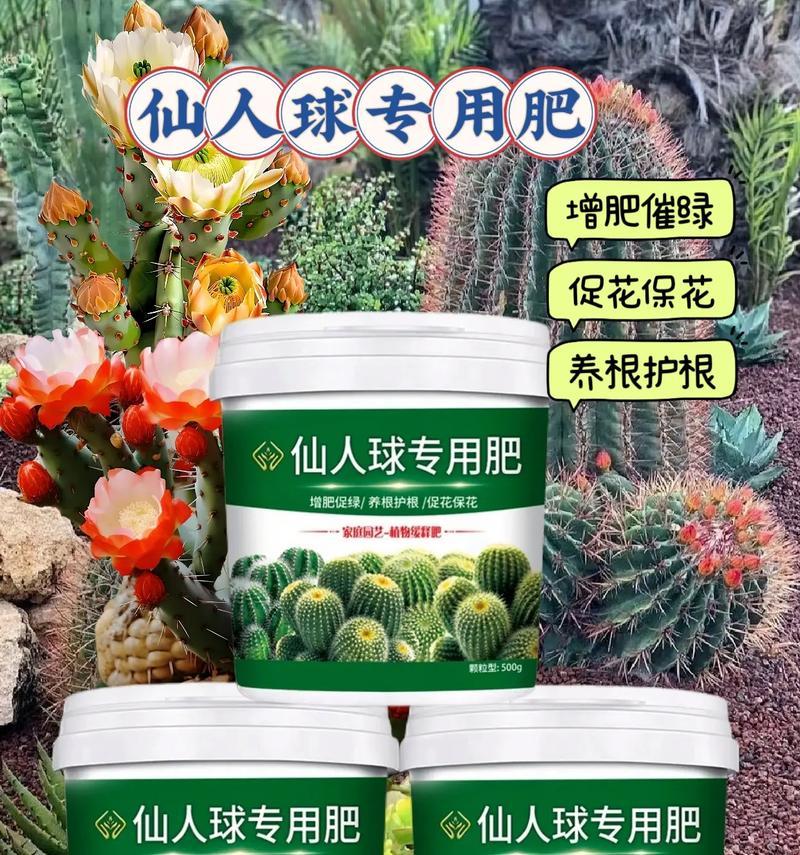 仙人球施肥的正确方法是什么？