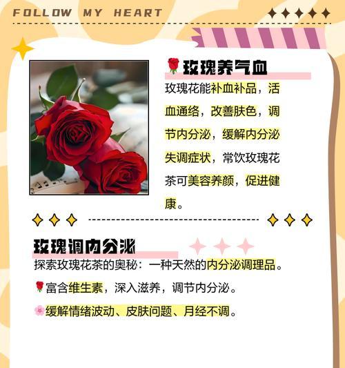 春风花草玫瑰花的养护方法是什么？