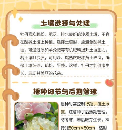牡丹花根种植的正确步骤是什么？