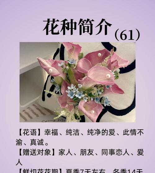 关于爱情姻缘的花语是什么？爱情姻缘的花语有哪些？