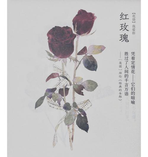 关于爱情姻缘的花语是什么？爱情姻缘的花语有哪些？
