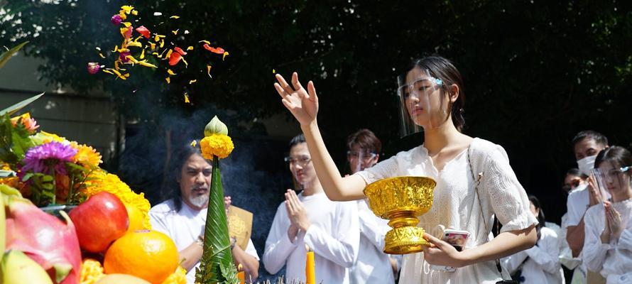 流星花有什么寓意和花语？流星花象征着什么？
