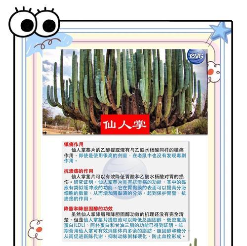 仙人掌发芽慢怎么办？有哪些快速发芽的技巧？
