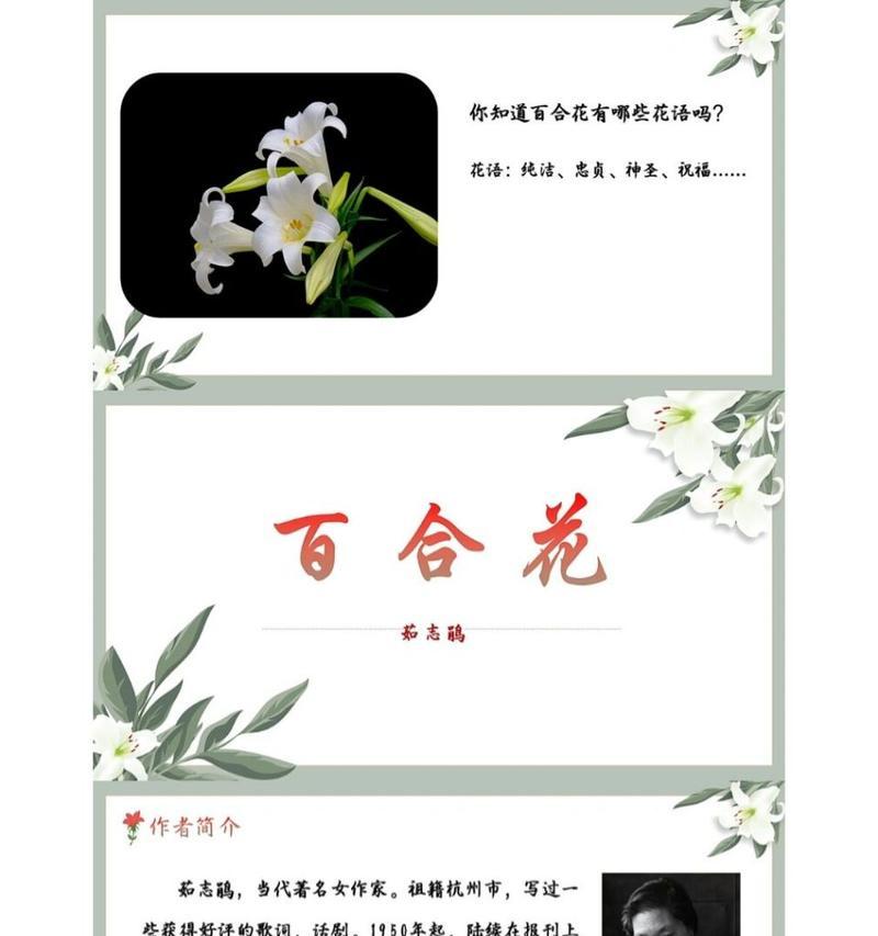 青春的花语是什么花？哪种花代表了年轻与活力？