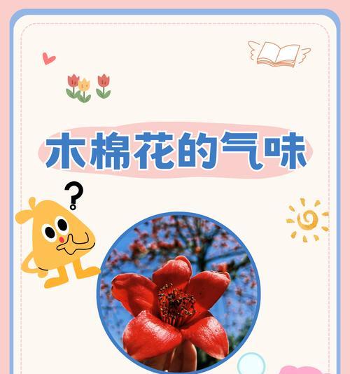哪种花象征着包容和友谊？代表包容友谊的花语是什么？