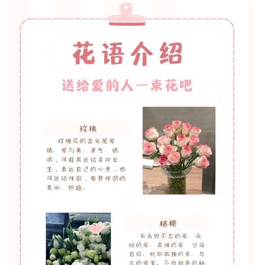 花语宝贝主题具体指什么？这个主题的含义是什么？