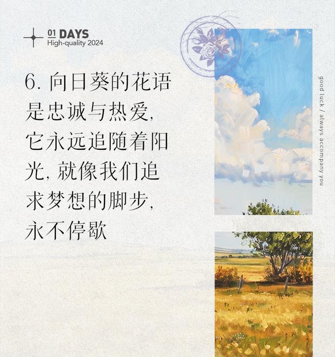 期待日出期待你的花语是什么？这种花象征着什么？