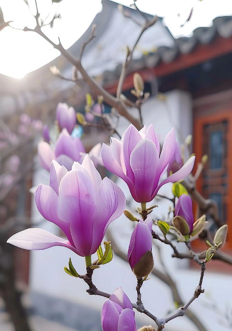 送孩子哪种花的花语最合适？花语对孩子有何影响？