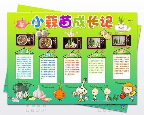 小蒜苗的花语具体是什么？