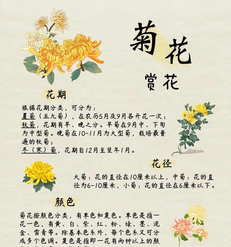 花觅花语具体是什么含义？