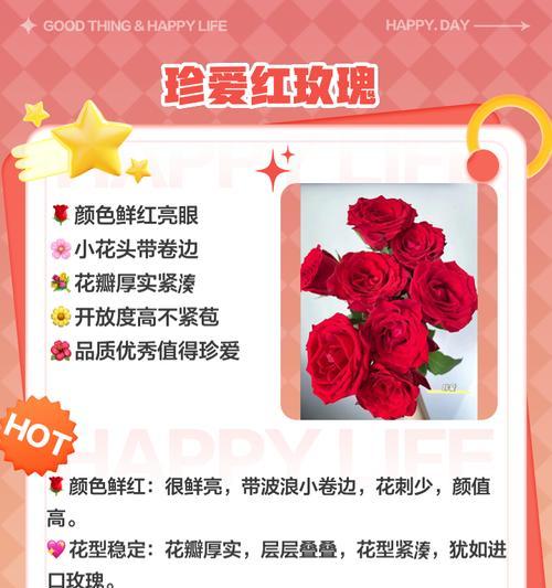 祁煜适合种植哪些玫瑰花品种？如何选择适合的玫瑰花品种？