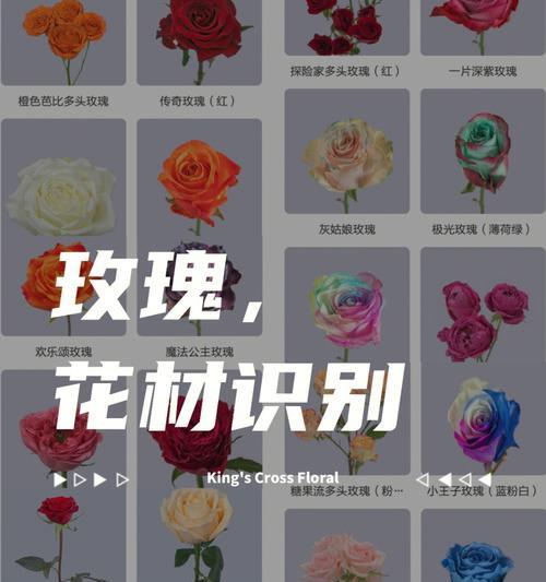 今天收到的玫瑰花语代表什么？花语含义有哪些？