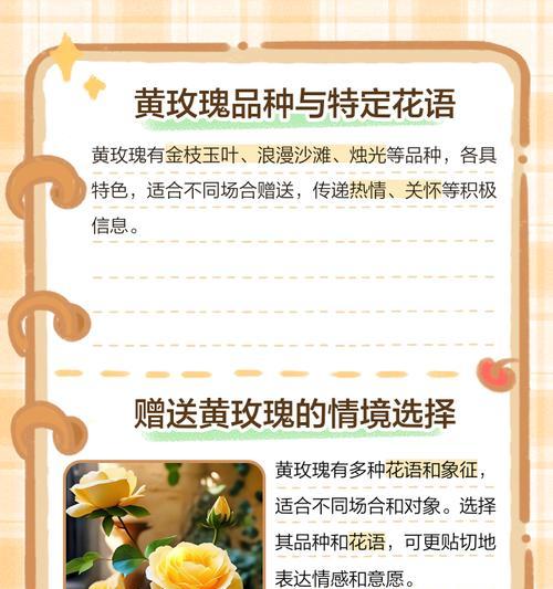 今天收到的玫瑰花语代表什么？花语含义有哪些？