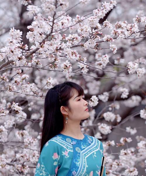 樱谷花语是什么意思啊网络用语？樱谷花语的含义是什么？