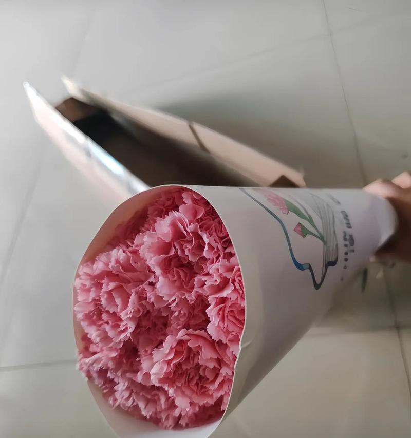 高仿康乃馨的花语有何含义？康乃馨高仿的花语是什么？