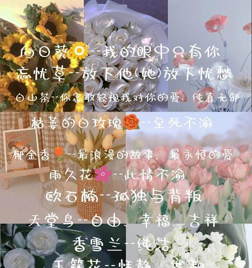 各种花的花语和象征意义是什么？