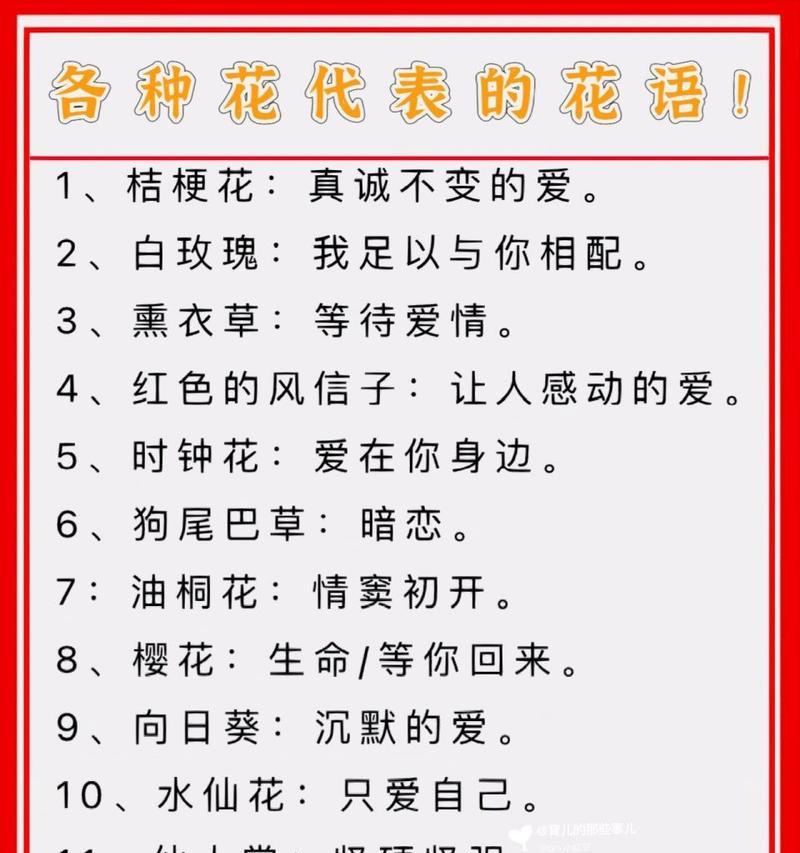 各种花的花语和象征意义是什么？