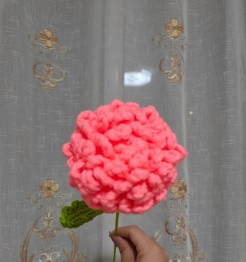 乒乓菊作为礼物的花语是什么？