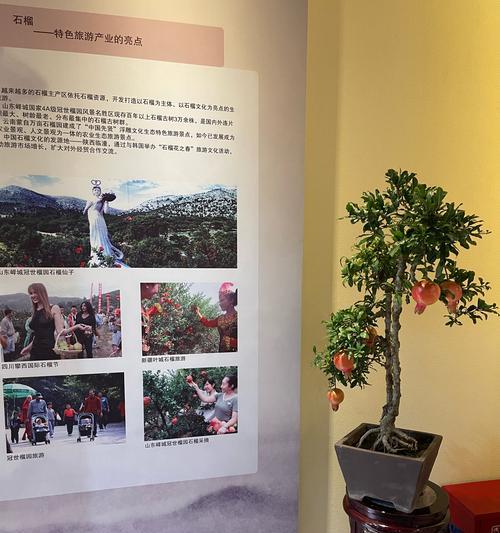 石榴老桩的寓意和花语有哪些？
