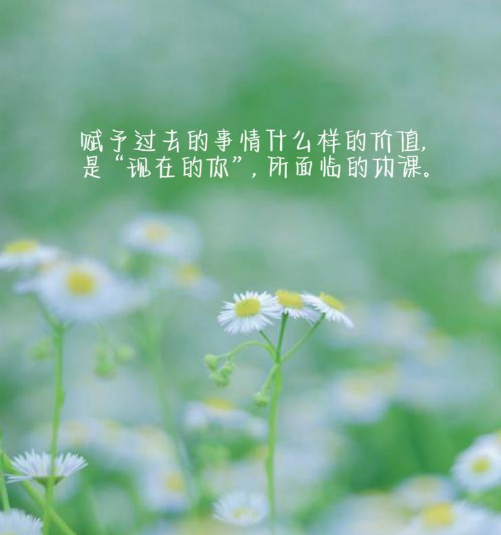 绿衣小雏菊代表什么？绿衣小雏菊的花语是什么？