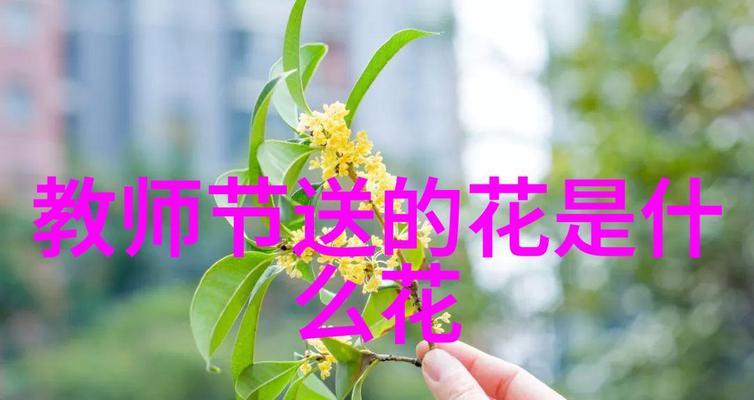 老师的花语像什么一样？老师的象征意义是什么？