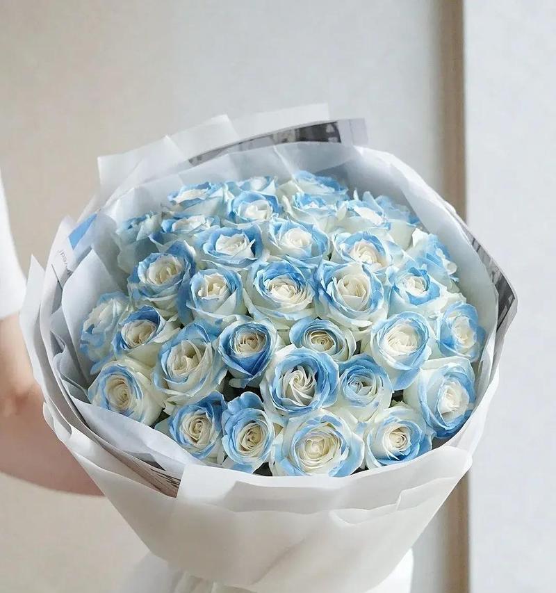 蓝绿玫瑰的花语有何寓意？它代表了什么？