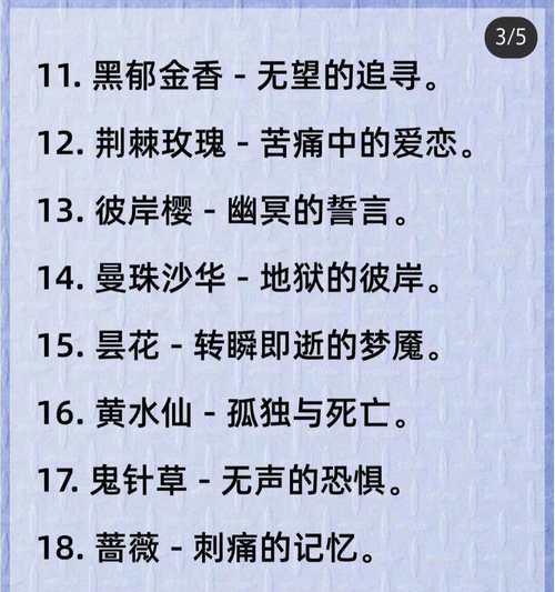 暗夜使者的花语有何含义？