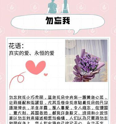 英国的花语有哪些特别之处？