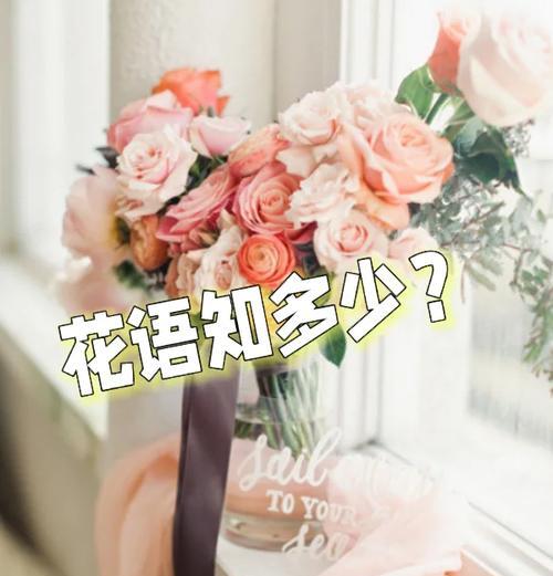 不被重视的花语有哪些含义？