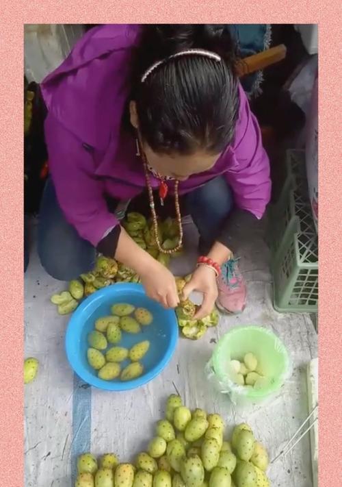 红仙桃仙人掌种植步骤有哪些？