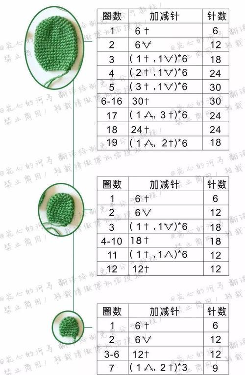 盆栽杯垫仙人掌的养护方法是什么？需要注意什么？