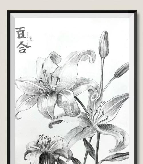 素描玫瑰花的花语怎么写？素描中玫瑰花语的表达方式有哪些？