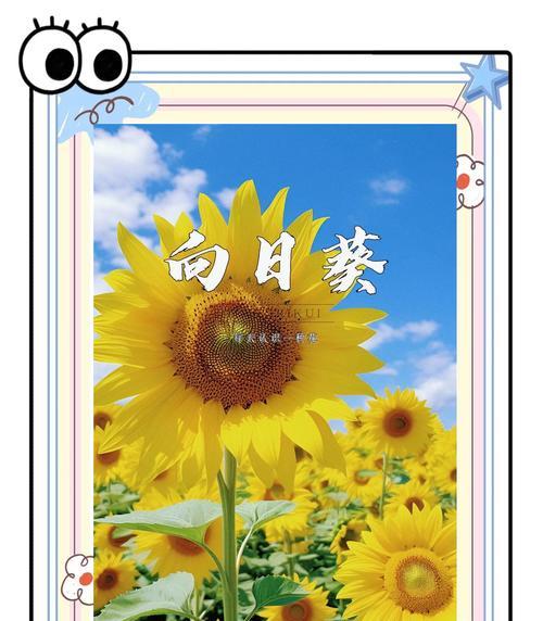 哪种花语象征着坚定的信念？