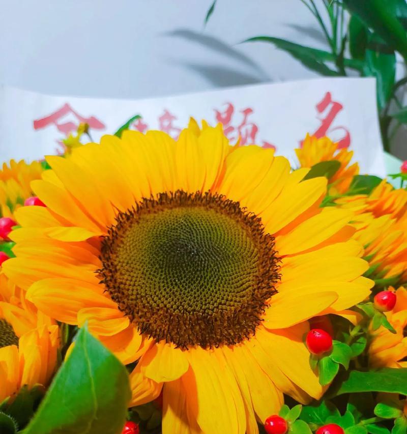 哪种花语象征着坚定的信念？