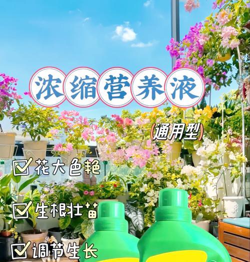 水培仙人球营养液选择与使用方法？
