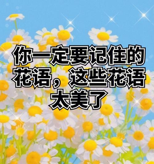 夫妻和睦不吵架的花语有哪些？