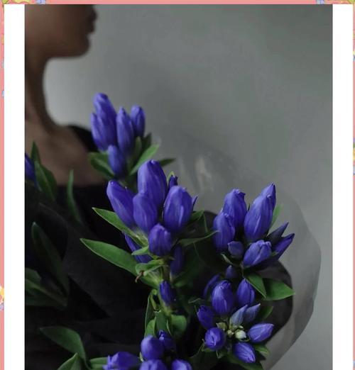 哪种花的花语最能表达忧伤？忧伤花语的含义是什么？