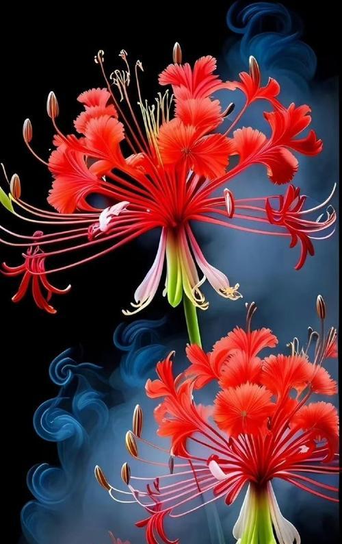 哪种花的花语最能表达忧伤？忧伤花语的含义是什么？